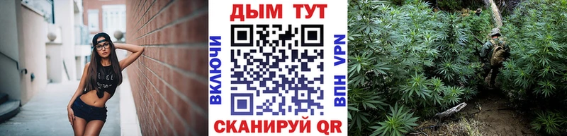 Как найти закладки Мариинский Посад А ПВП  АМФ  МЕФ  Гашиш  Конопля 