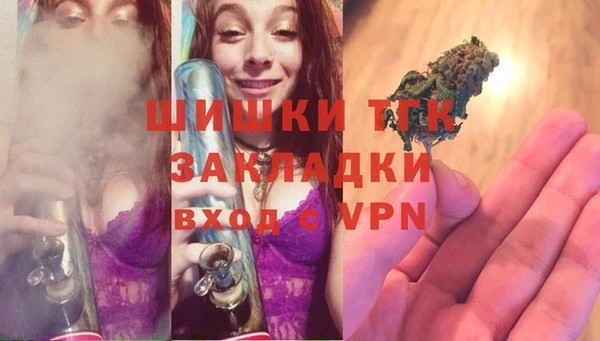 крисы Аркадак