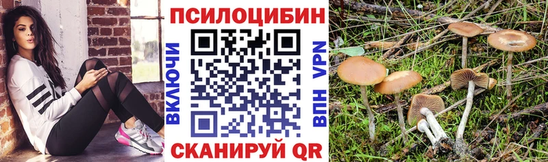 Псилоцибиновые грибы Psilocybe Мариинский Посад